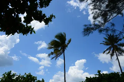 DSC_7661 (Large).JPG